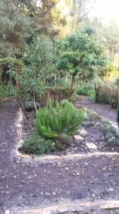 Drrroomland kruidentuin