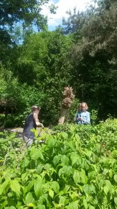 vrijwilligersweekend @ Drrroomland